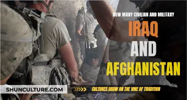 The Human Cost of War: Examining the Iraq and Afghanistan Conflicts