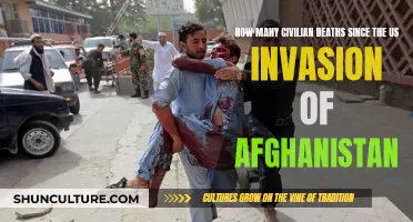 The Human Toll of the US Invasion of Afghanistan: Counting the Civilian Dead