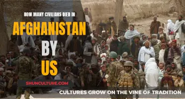 The Unspoken Toll: US Actions and Afghan Civilian Deaths