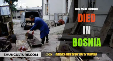 Bosnia's Tragic Toll: Understanding the Civilian Death Count