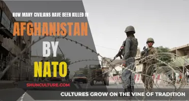 NATO's Deadly Toll in Afghanistan: Examining Civilian Casualties