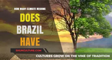 Exploring Brazil's Diverse Climate Regions: A Comprehensive Overview