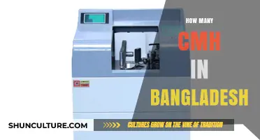 Exploring Bangladesh's CMH Count: A Comprehensive Overview