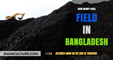 Exploring Bangladesh's Coal Fields: A Comprehensive Count and Overview