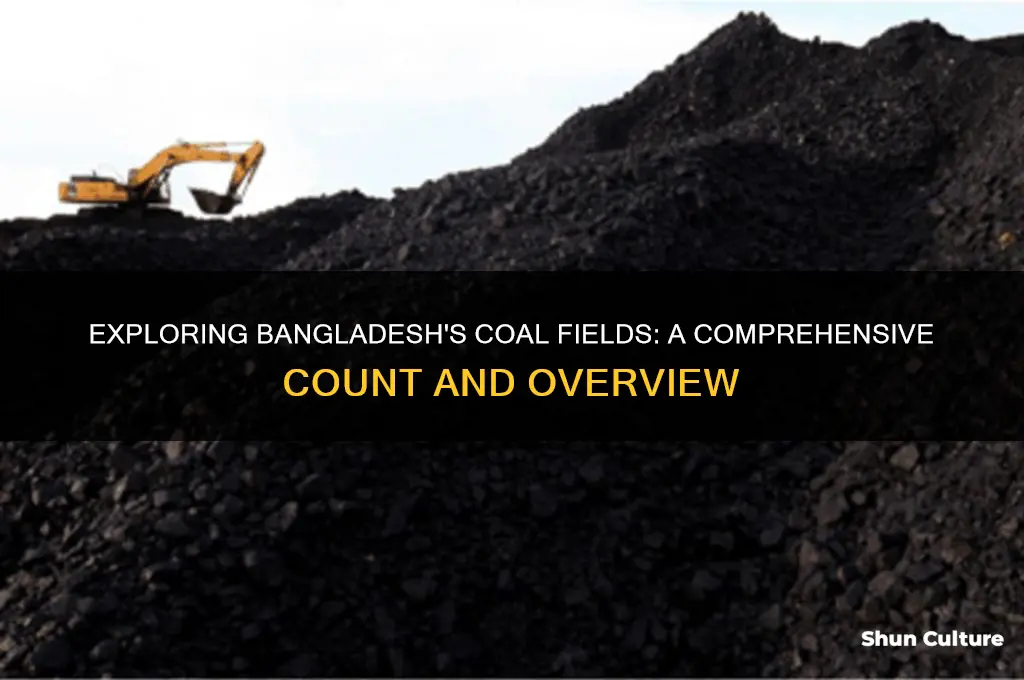 how many coal field in bangladesh