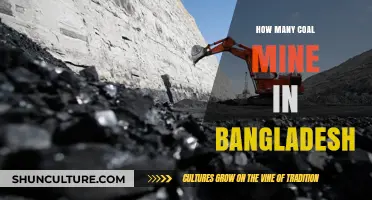 Exploring Bangladesh's Coal Mining Sector: How Many Mines Exist?