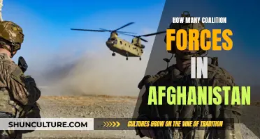 Enduring Coalition Presence: Examining the Numbers in Afghanistan