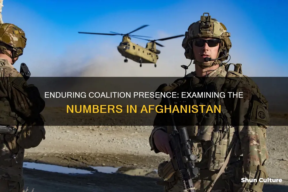 how many coalition forces in afghanistan