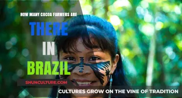 Exploring Brazil's Cocoa Industry: Farmer Numbers and Insights