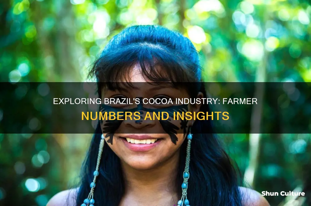 how many cocoa farmers are there in brazil
