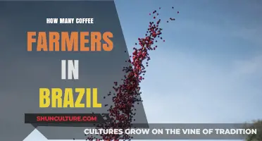Exploring Brazil's Coffee Farming Community: Size, Impact, and Challenges