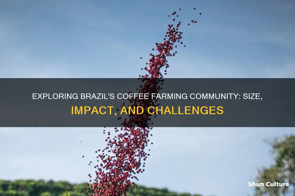 how many coffee farmers in brazil