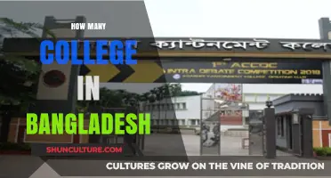 Exploring the Vast Number of Colleges in Bangladesh Today
