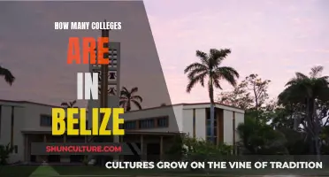 Belize's Higher Education Options