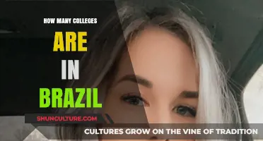 Exploring Brazil's Higher Education: How Many Colleges Exist Nationwide?