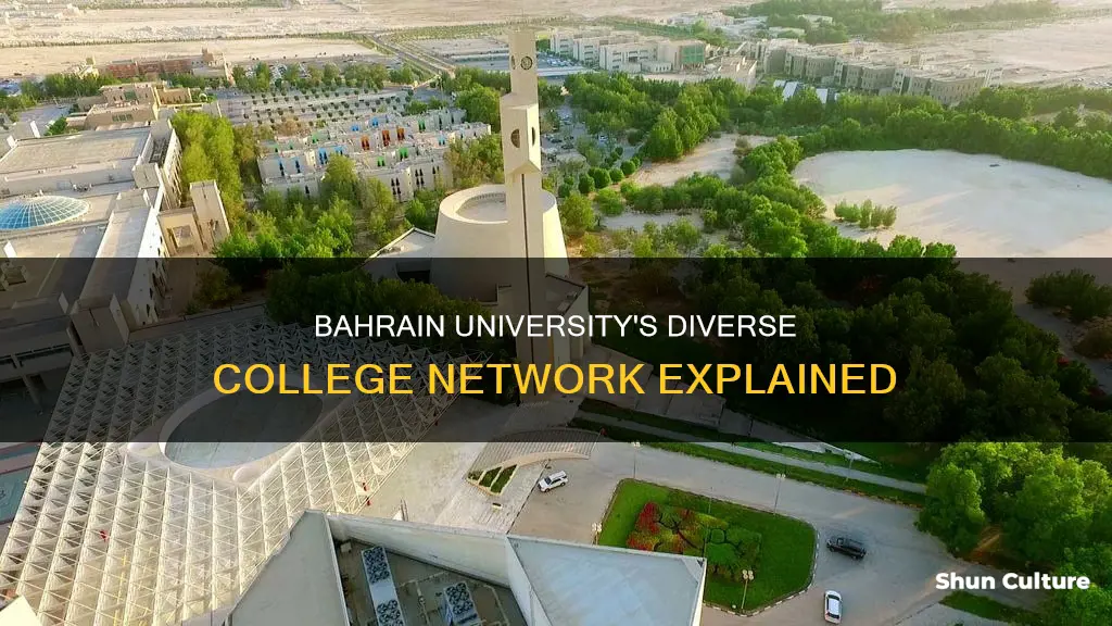 how many colleges does the university of bahrain hold