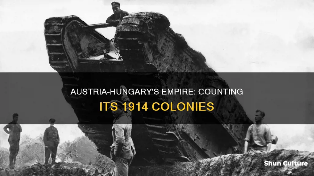 how many colonies did austria hungary have in 1914