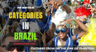 Exploring Brazil's Cultural Color Categories and Their Meanings