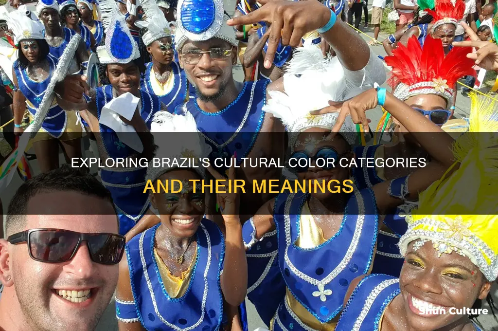 how many color categories in brazil