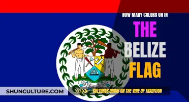 The Vibrant Variety of Belize's Flag