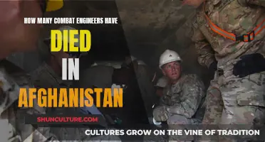 The Human Cost of War: Remembering Fallen Combat Engineers in Afghanistan