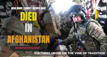 The Human Cost of War: Honoring the Fallen Combat Medics of Afghanistan