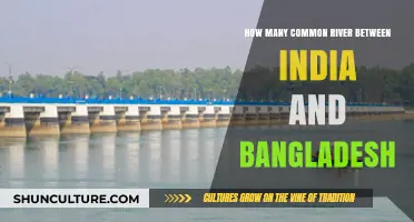 Shared Waters: Exploring Common Rivers Between India and Bangladesh