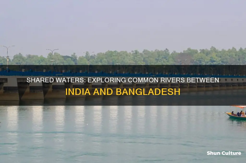 how many common river between india and bangladesh