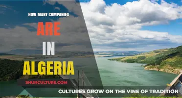 Exploring Algeria's Business Landscape: How Many Companies Operate There?