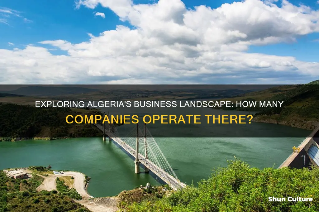how many companies are in algeria