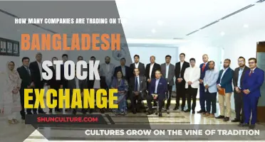 Exploring the Number of Companies Listed on Bangladesh Stock Exchange