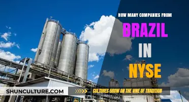Exploring Brazilian Companies Listed on the NYSE: A Comprehensive Overview