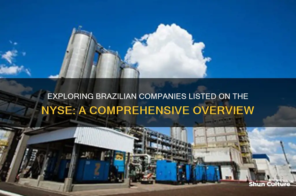 how many companies from brazil in nyse