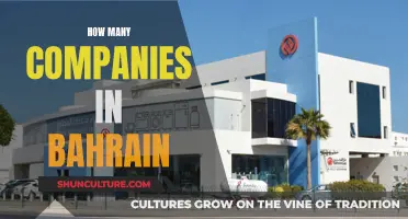 Bahrain's Business Landscape: A Count of Companies