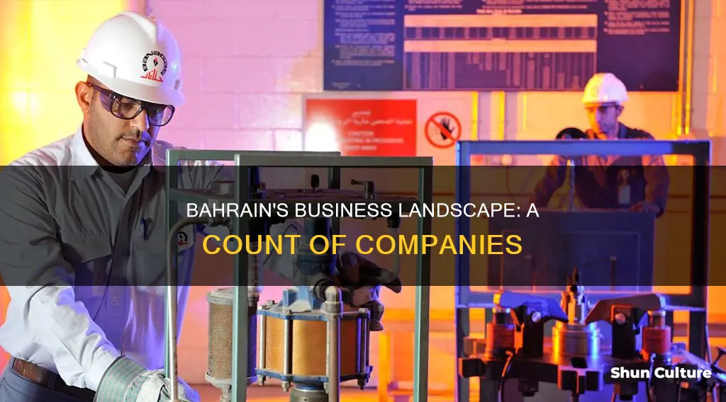 how many companies in bahrain