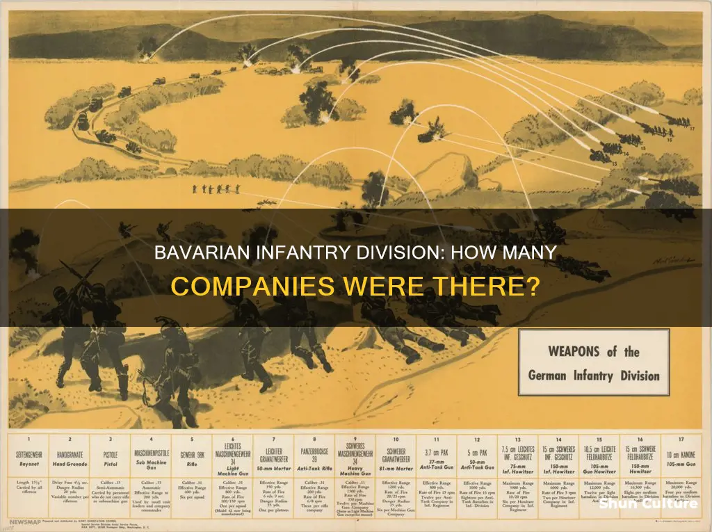 how many companies in bavarian infantry division