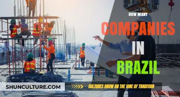 Exploring Brazil's Business Landscape: Counting Companies Across Industries