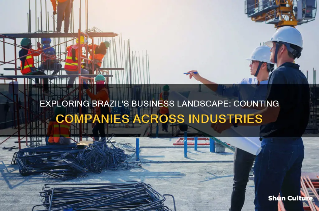 how many companies in brazil