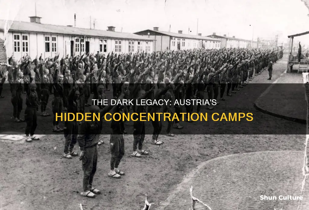 how many concentration camps in austria