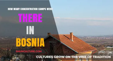 Bosnia's Dark History: Uncovering the Number of Concentration Camps