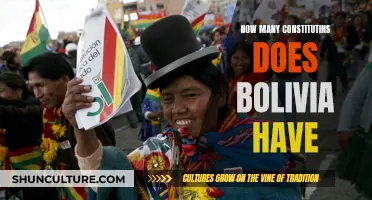 Bolivia's Rich History: Constitutions Through the Ages