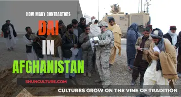 The Human Cost of War: Examining Contractor Casualties in Afghanistan