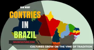 Exploring Brazil's Regions: Understanding Its Unique Political Divisions