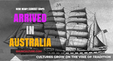 The Arrival of Convict Ships: Australia's Dark Past
