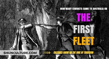 First Fleet Convicts: Unveiling Australia's Founding Population Numbers