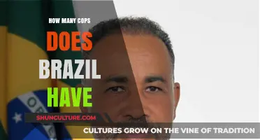 Brazil's Police Force: Unveiling the Number of Cops in the Country