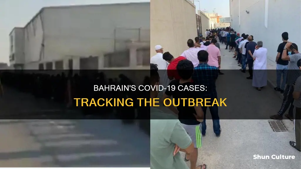 how many corona cases in bahrain