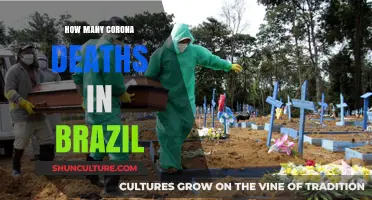 Brazil's COVID-19 Tragedy: Tracking Coronavirus Fatalities and Impact