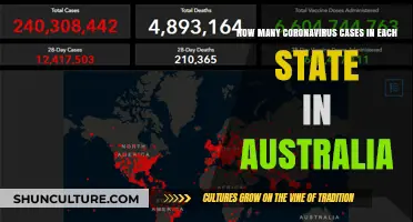 Coronavirus Cases: State-by-State Breakdown in Australia