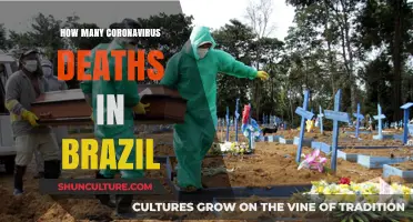 Brazil's COVID-19 Death Toll: A Comprehensive Analysis and Update